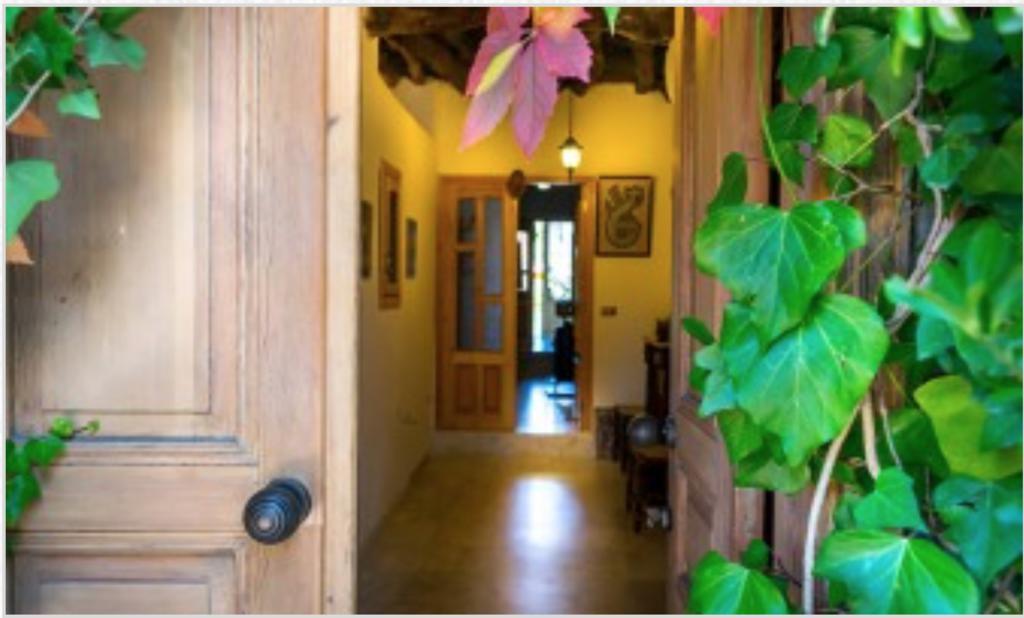 El Achkar Guesthouse ベイト・エッディーン エクステリア 写真