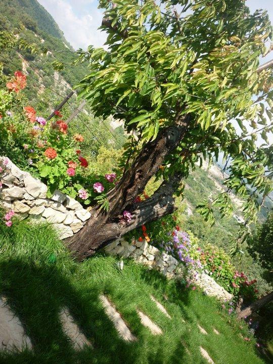 El Achkar Guesthouse ベイト・エッディーン エクステリア 写真
